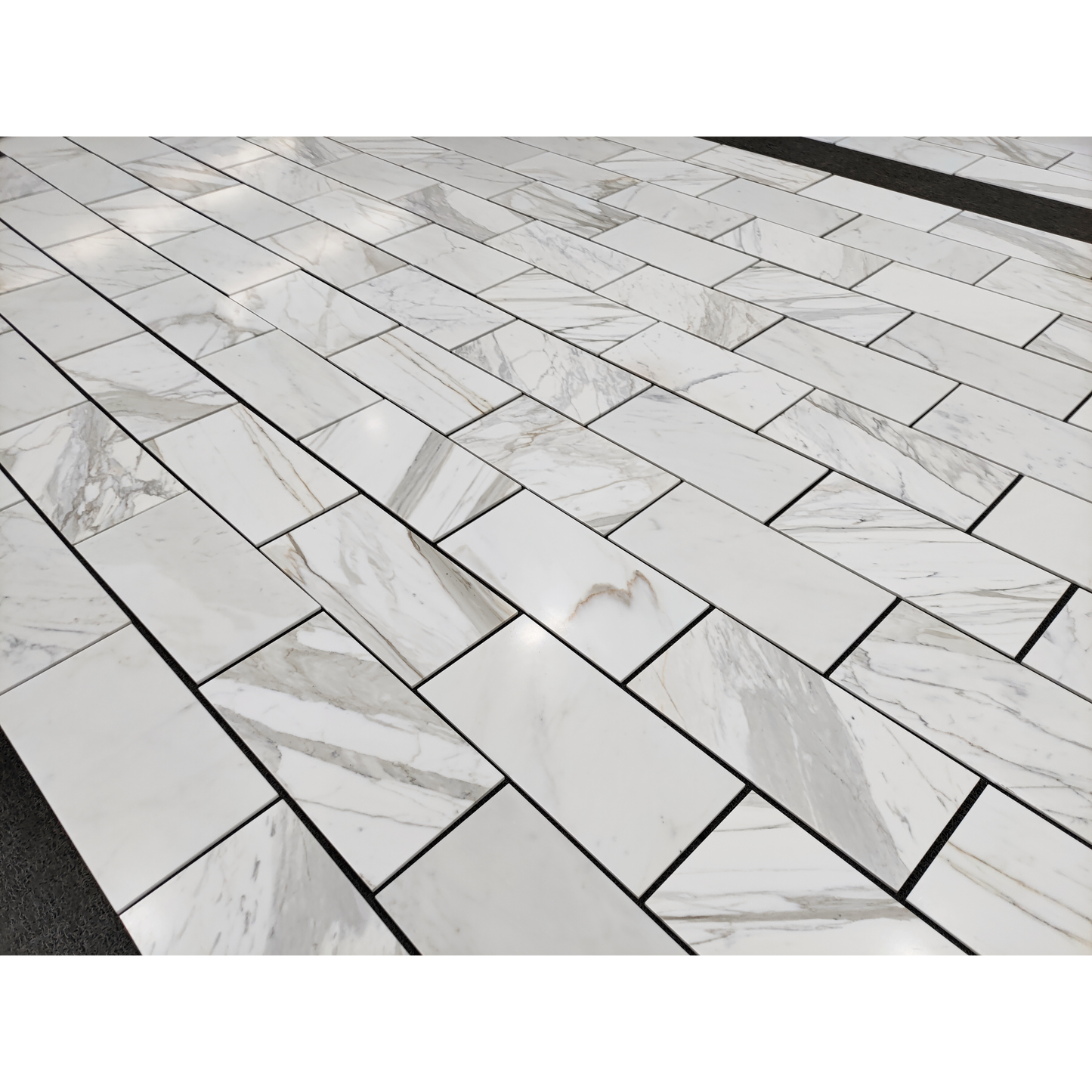 12" x 24" CALACATTA GOLD HONED