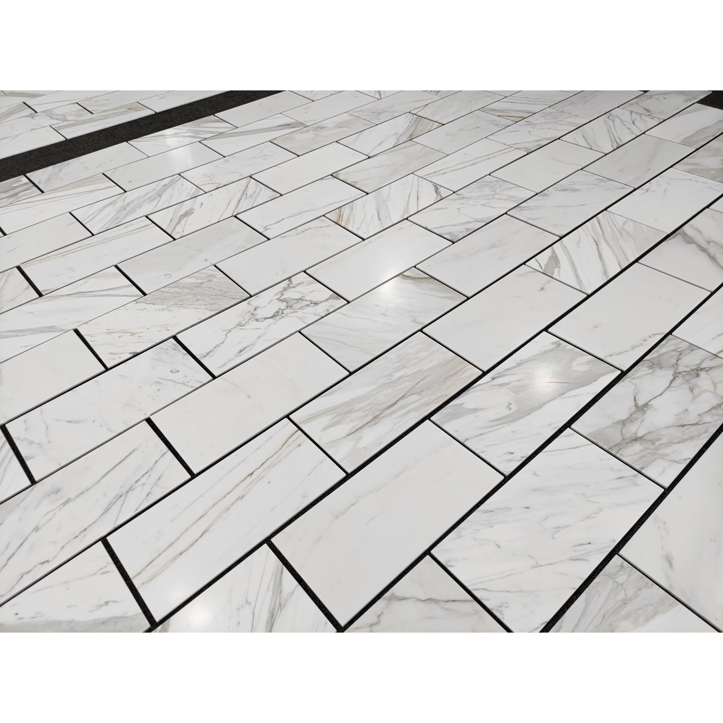 12" x 24" CALACATTA GOLD HONED
