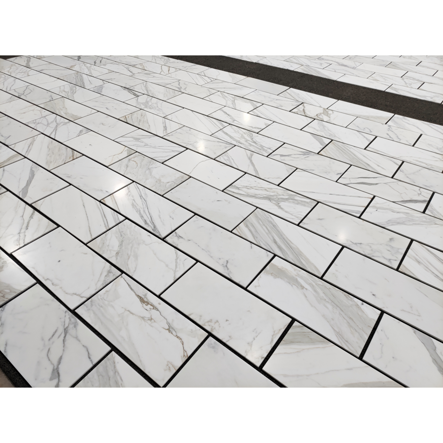 12" x 24" CALACATTA GOLD HONED