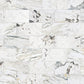 12" x 24" CALACATTA MONET HONED