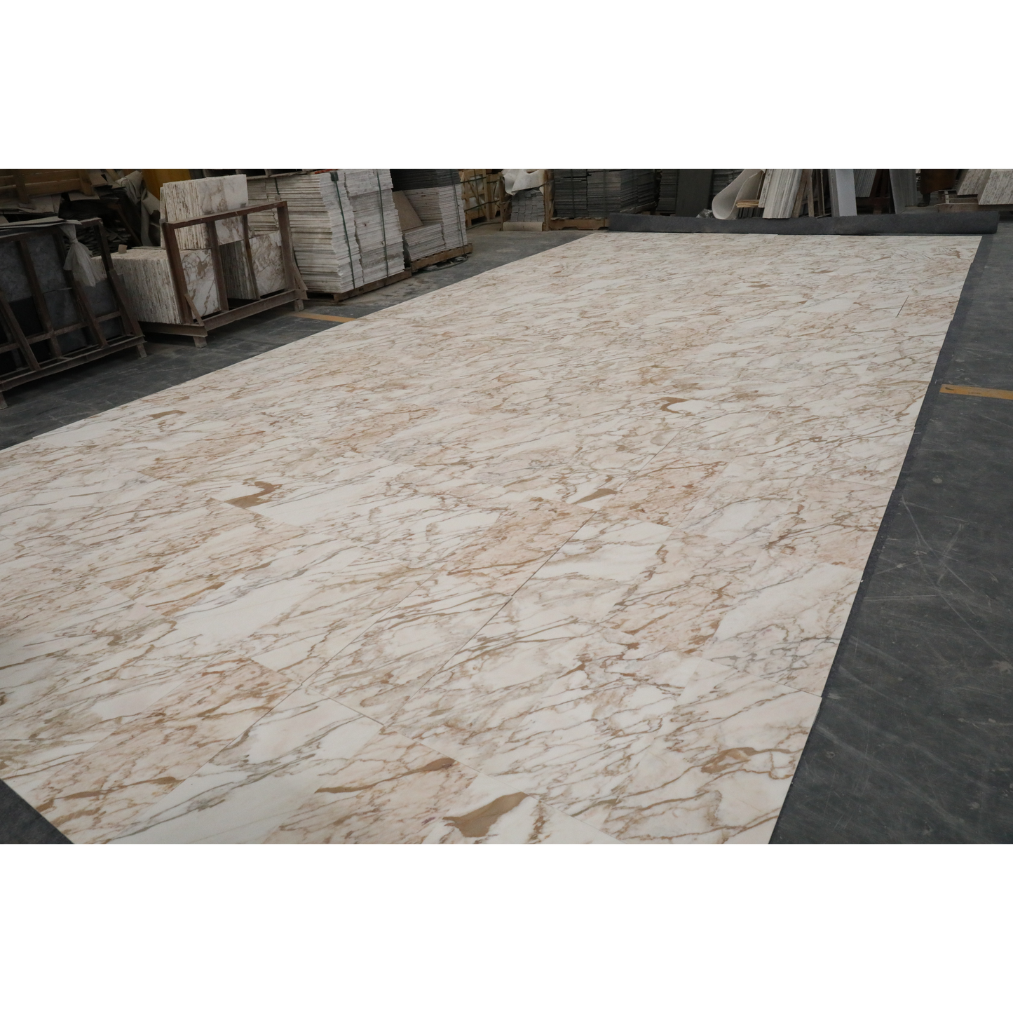 12" x 24" CALACATTA VAGLI HONED