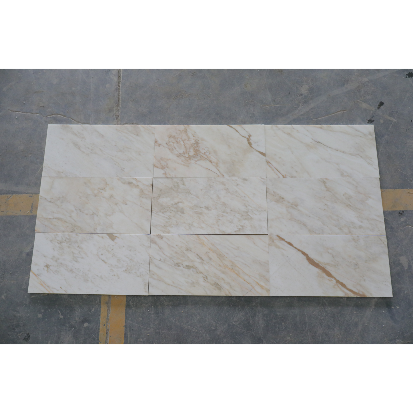 12" x 24" CALACATTA VAGLI HONED