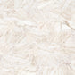 12" x 24" CALACATTA VAGLI HONED