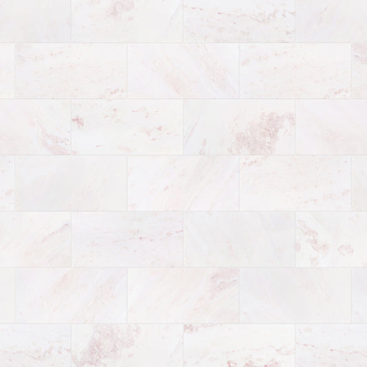 12" x 24" ROSA ROSA POLISHED