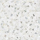 2.5" HEXAGON CALACATTA MONET HONED
