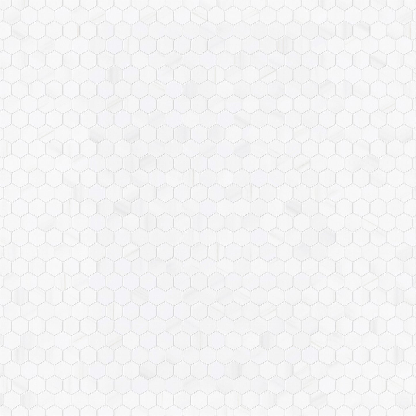 4CM HEXAGON BIANCO DOLOMITE LEATHERED