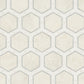 CENTURY BEIGE
