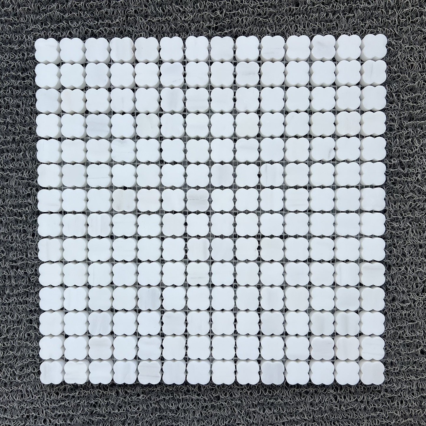 CLOVERS BIANCO DOLOMITE HONED