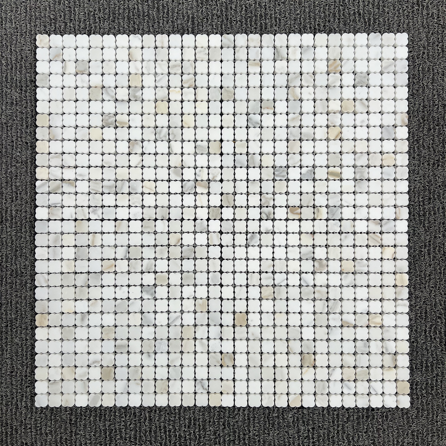 CLOVERS CALACATTA GOLD HONED
