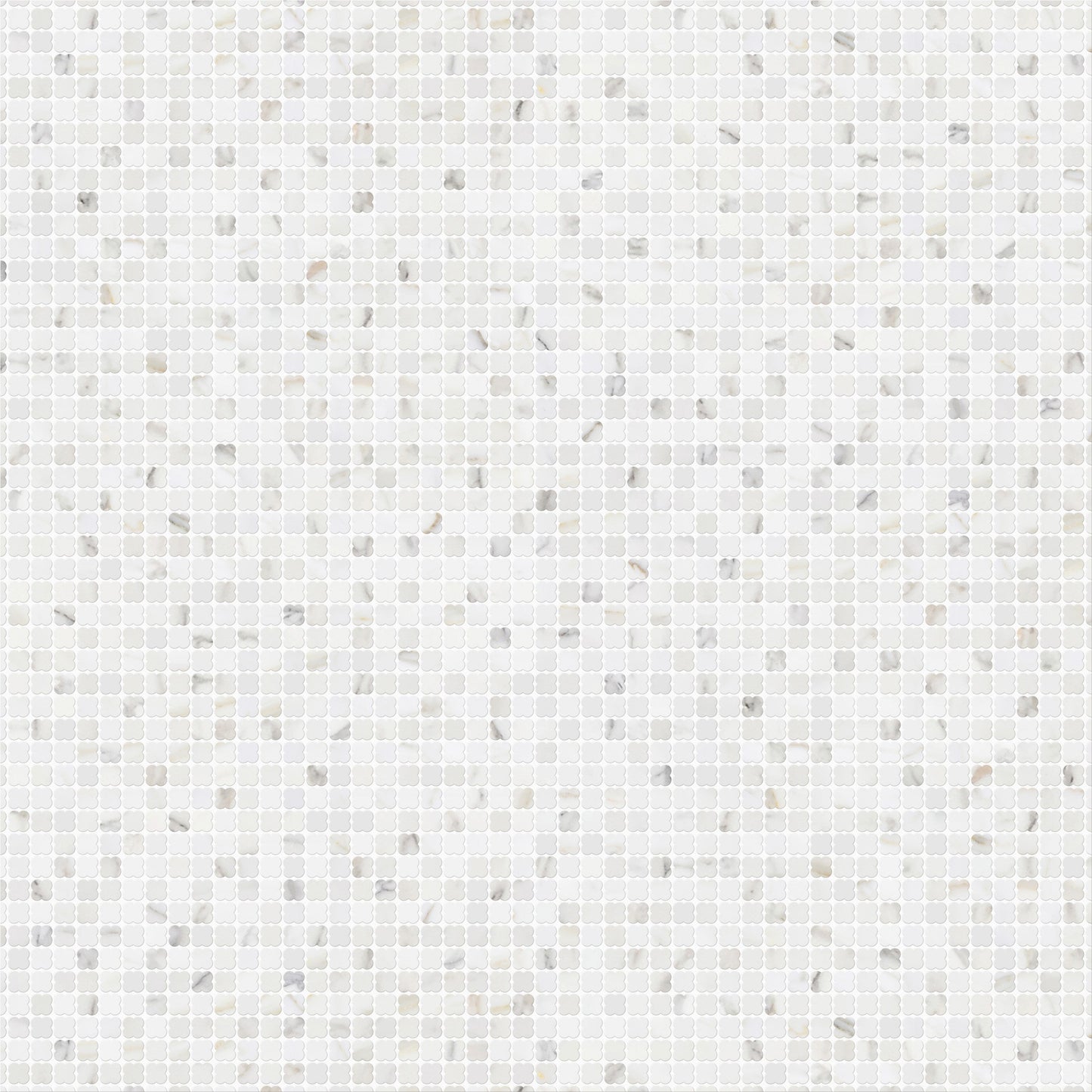 CLOVERS CALACATTA GOLD HONED