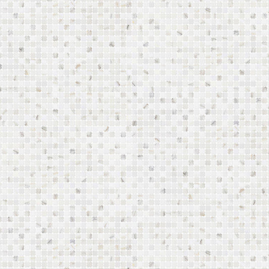 CLOVERS CALACATTA GOLD HONED