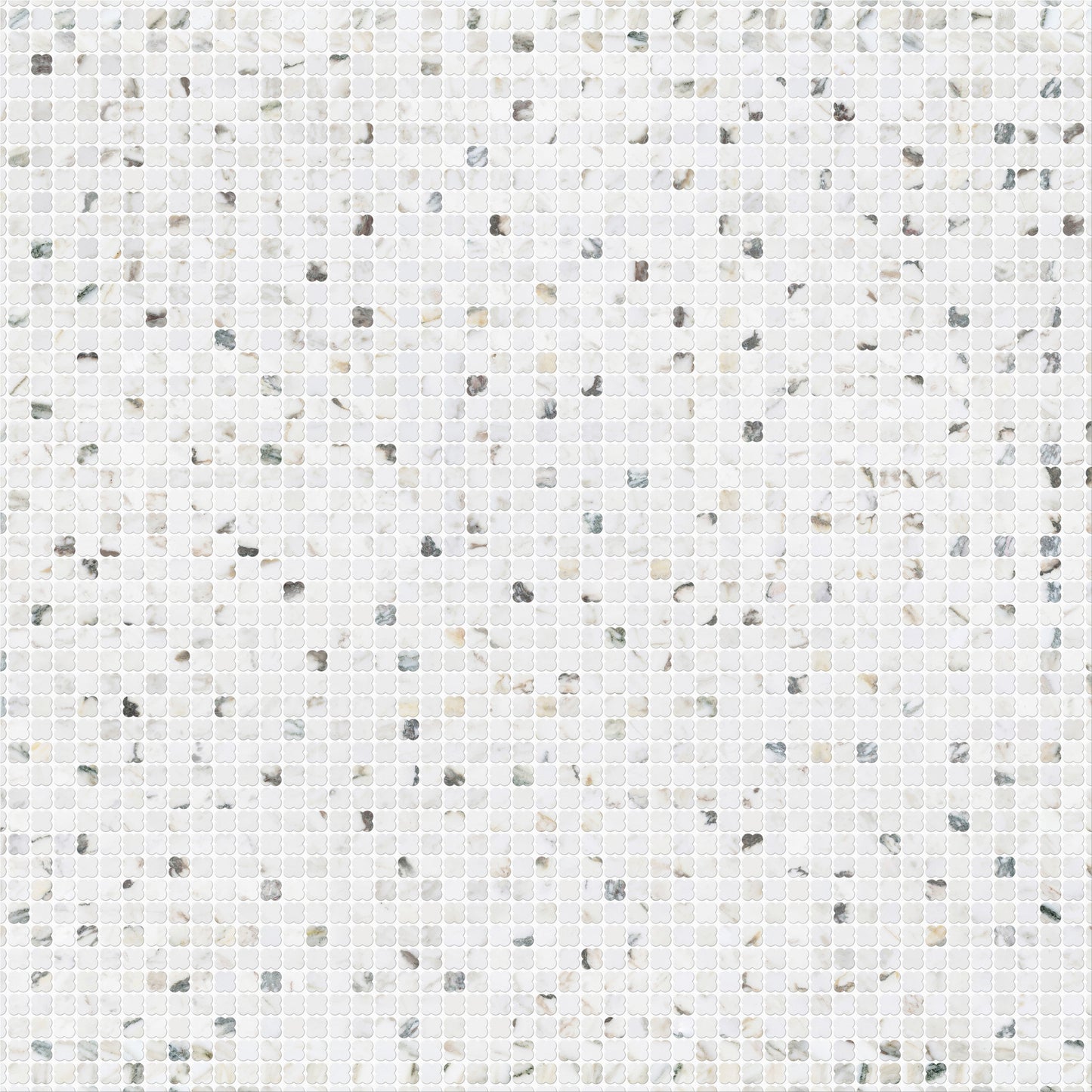 CLOVERS CALACATTA MONET HONED