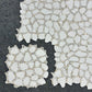 EDINBURGH