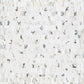 SCARPA CALACATTA MONET HONED